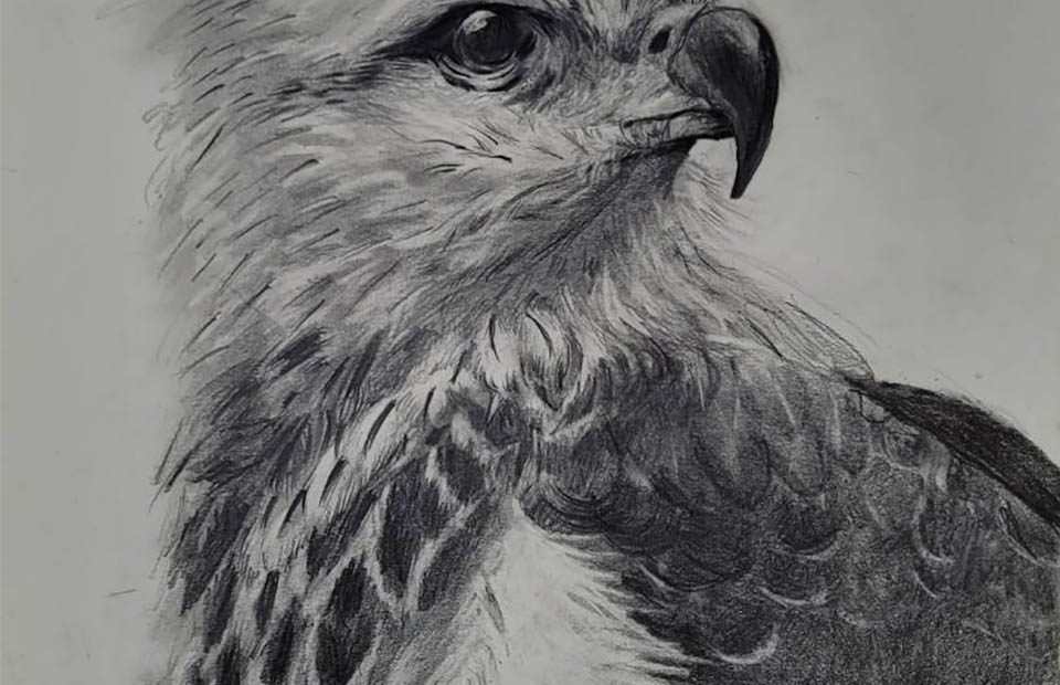 초6 성수린(26년02월)